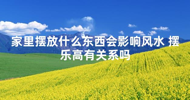 家里摆放什么东西会影响风水 摆乐高有关系吗